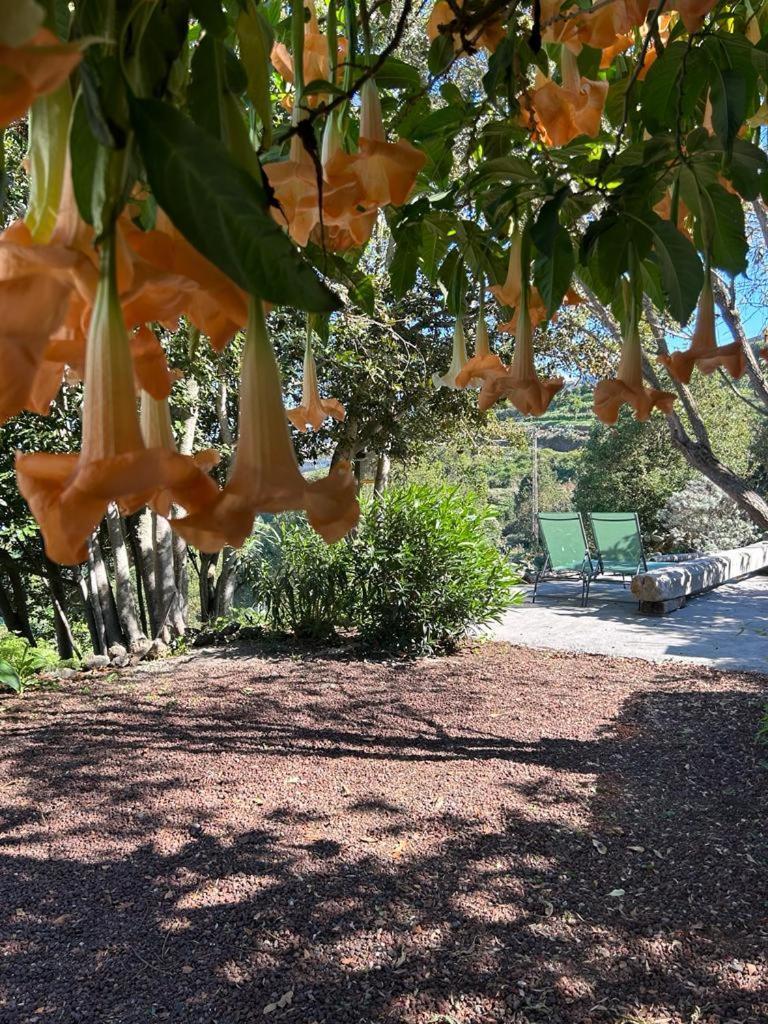 La Casita Del Lagar Villa Cerrogordo Kültér fotó